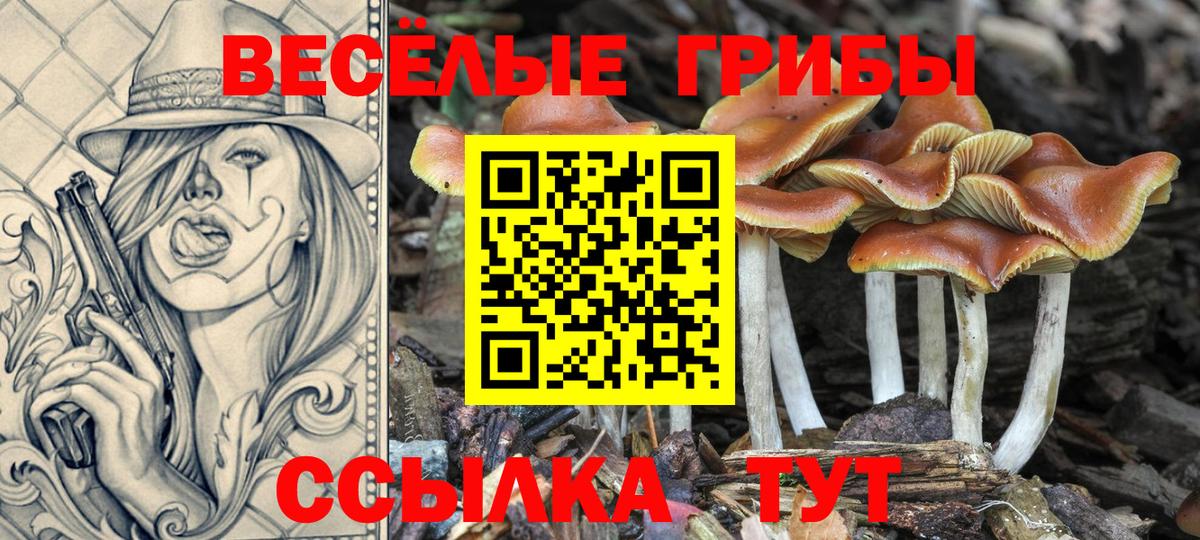 Новочеркасск  Галлюциногенные грибы Magic Shrooms  Галлюциногенные грибы Magic Shrooms  Вход с VPN 